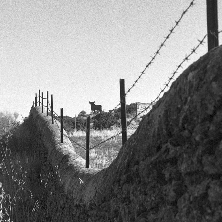 012-Toro Osborne Trujillo(Badajoz)BN