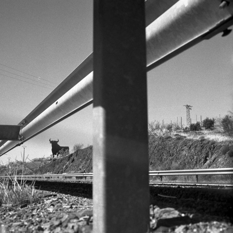 013-Toro Osborne Plasencia(Badajoz)BN