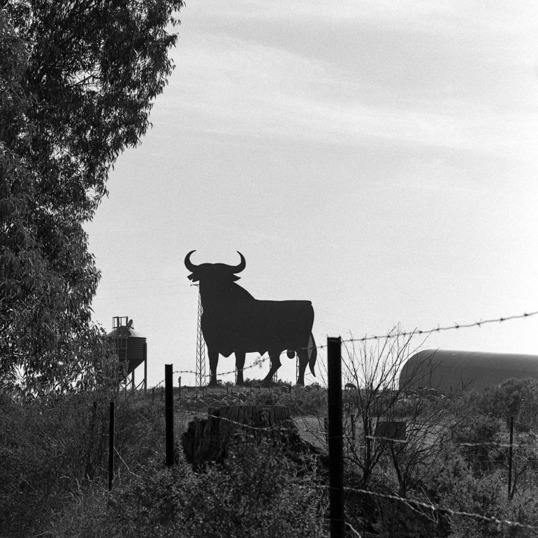 014-Toro_Osborne_(Andalucia)_ElcastillodelasguardiasBN