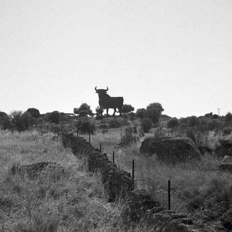 015-Toro_Osborne_CaceresBN