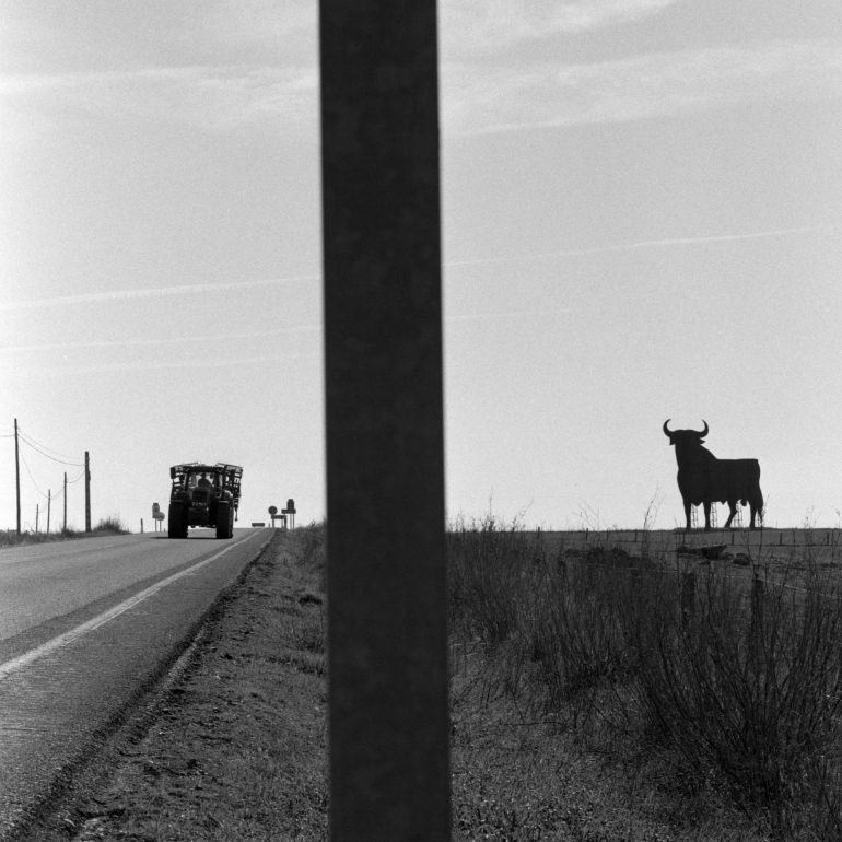 016-Toro_Osborne_CalzadillaBN