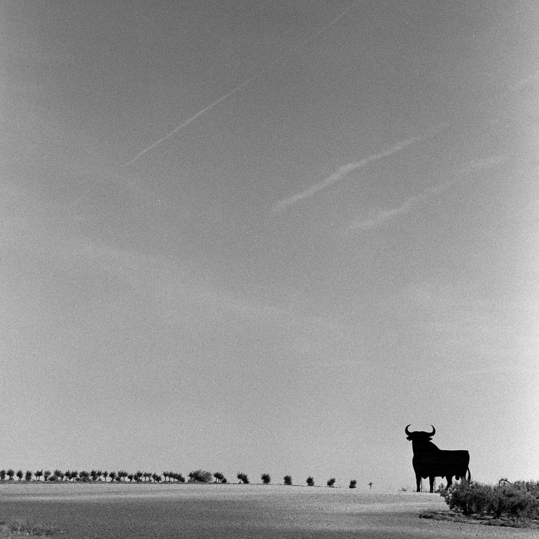 018-Toro_Osborne_(Andalucia)_HuevarBN