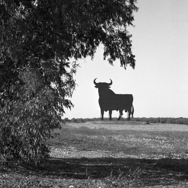 019-Toro_Osborne_(Andalucia)_LaCampanaBN