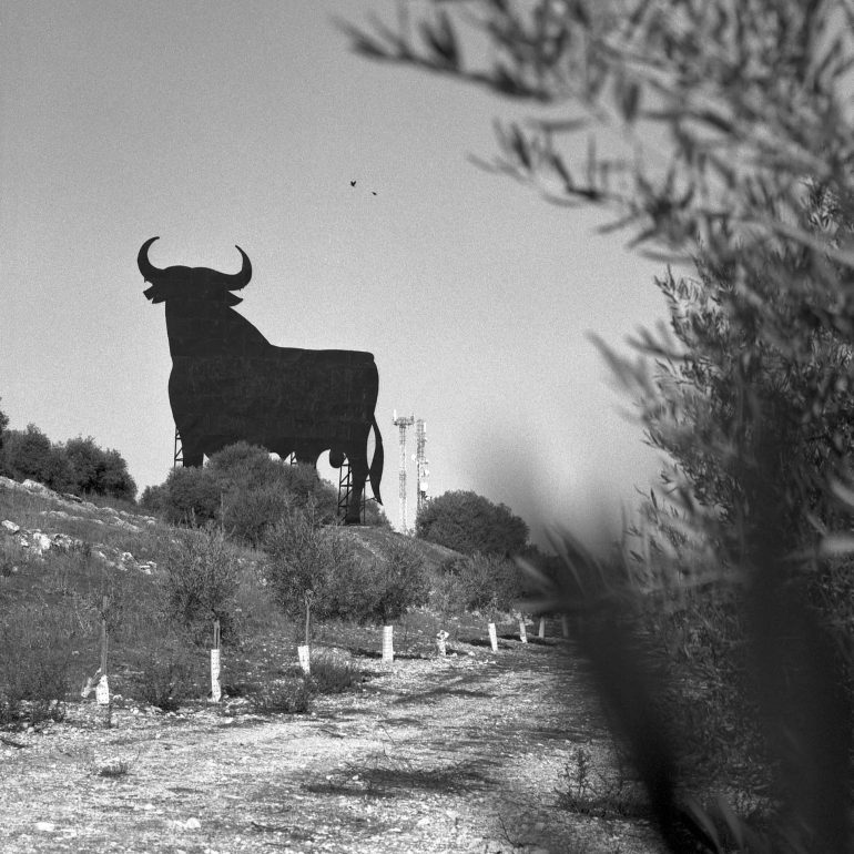 021-Toro_Osborne_(Andalucia)_EstepaBN