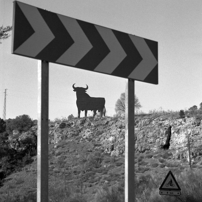 022-Toro_Osborne_(Andalucia)_albeloteBN