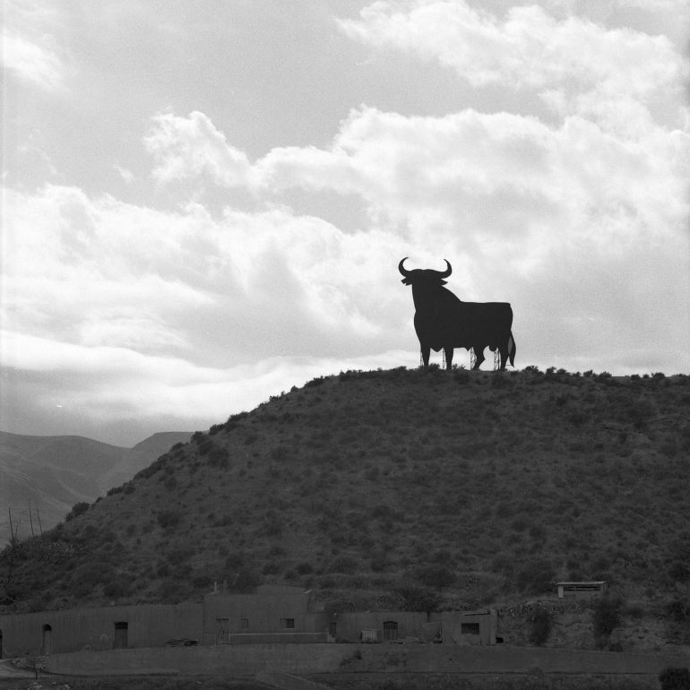 024-Toro_Osborne_(Andalucia)_almeria (2)BN