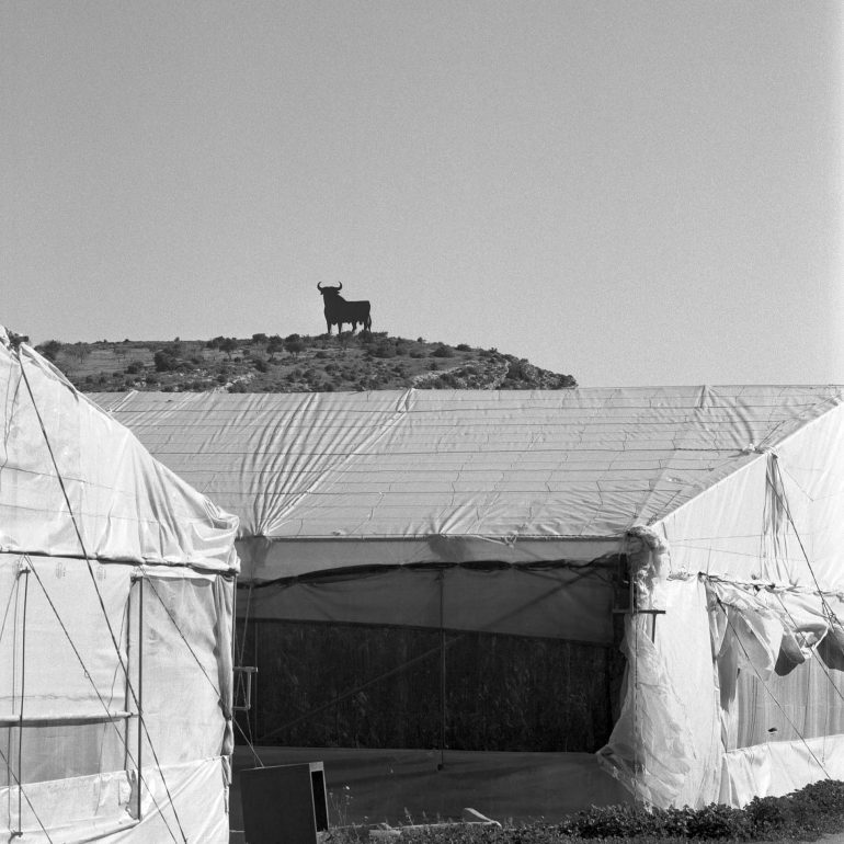 025-Toro_Osborne_(Andalucia)_Torre_del_marBN