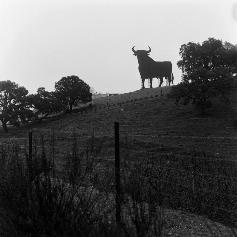 028-Toro_Osborne_(Andalucia)_Santa_ElenaBN