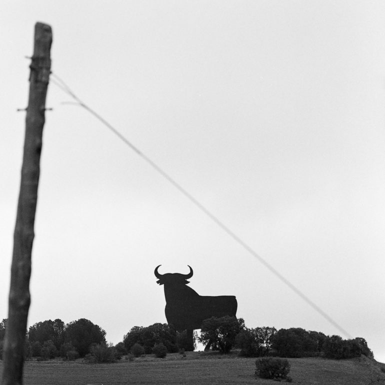 029-Toro_OSborne_Almuradiel_CLMBN