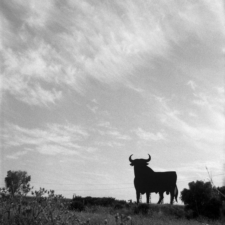 02-Toro Osborne_(Andalucia) Puerto de Santa María (Matajaca)