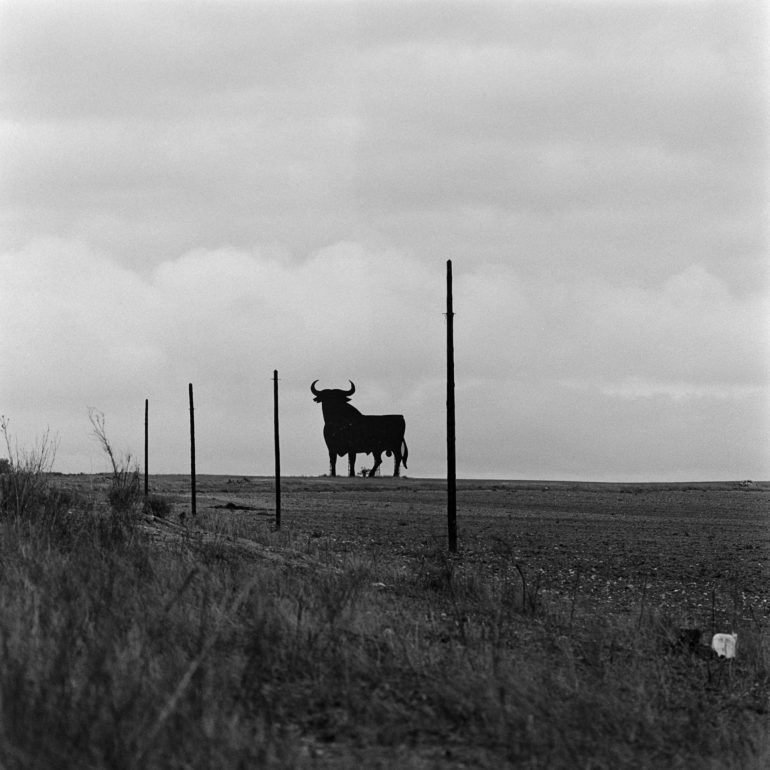 034-Toro_Osborne-El_Pedernoso_CLMBN