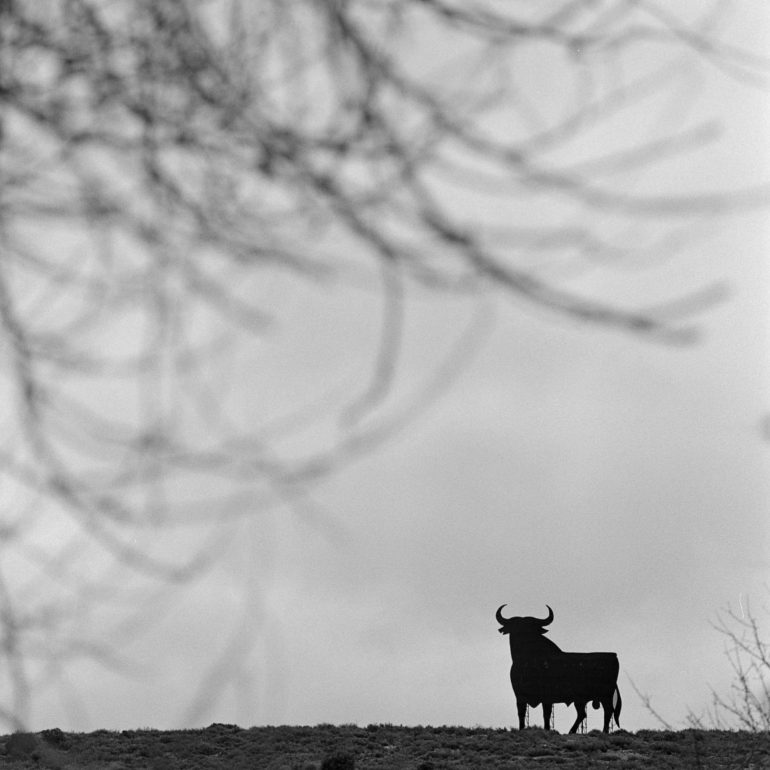 037-Toro_Osborne_Castillejo_de_Iniesta_CLMBN