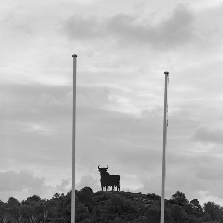 041-Toro_Osborne_Tabernes_Valldinga_CVBN