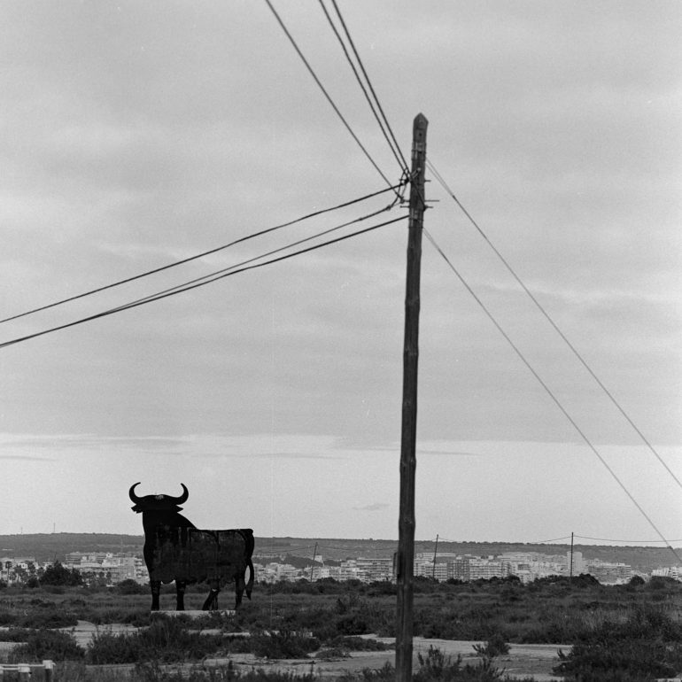 046-Toro_Osborne_Santa_Pola_CVBN