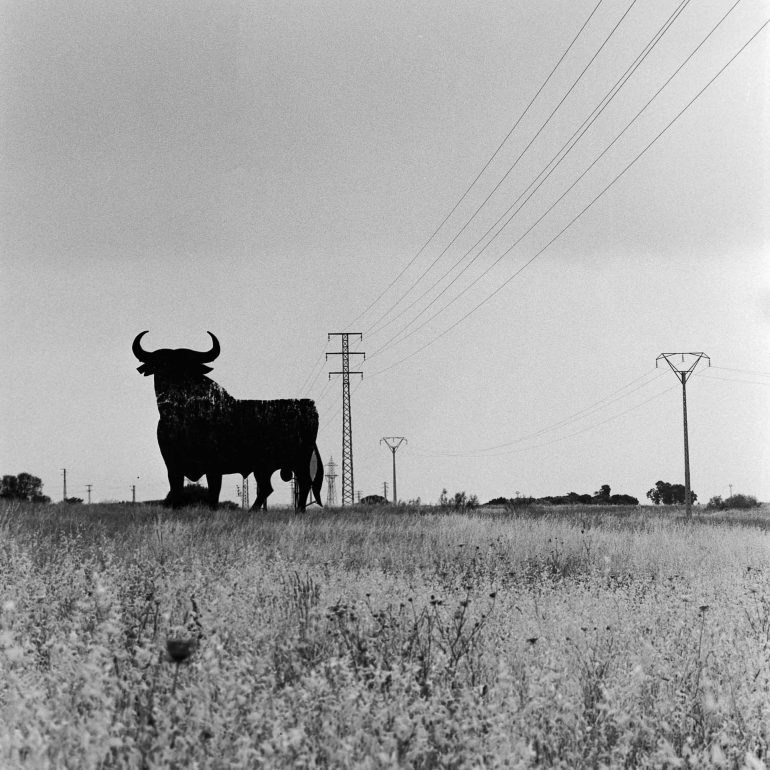 047-Toro Osborne_Valmojado_Castilla-aMancha