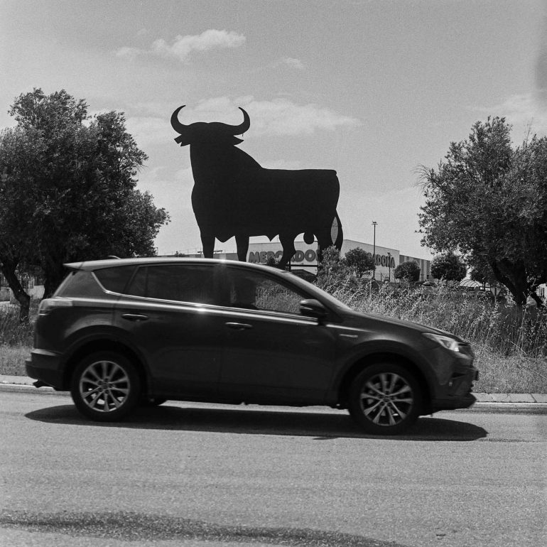 049-Toro Osborne_Valdemoro