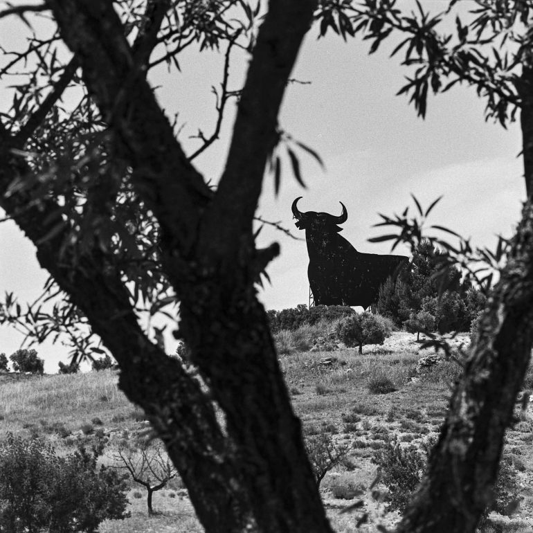 050-Toro Osborne_Villarejo-de-alvanes