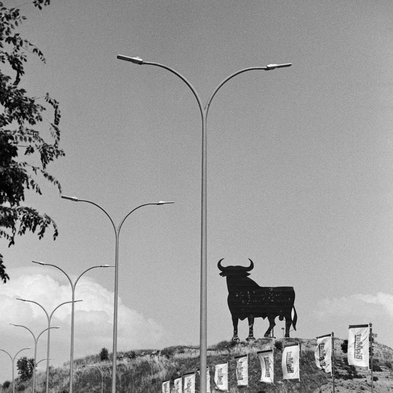 051-Toro Osborne_Guadalajara