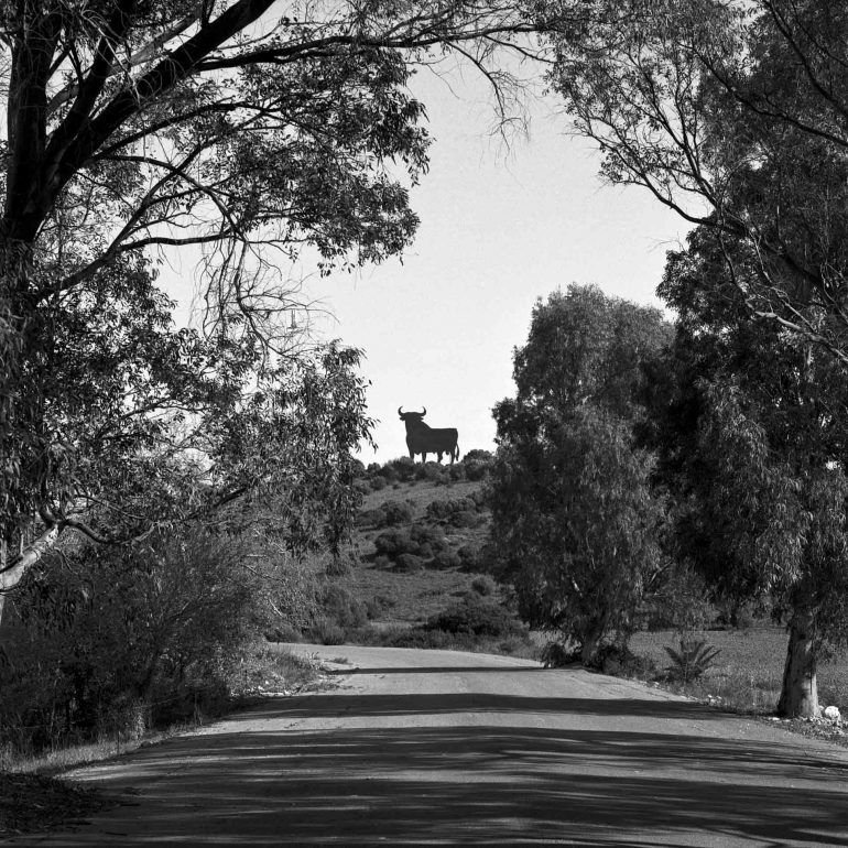 05-Toro_Osborne_(Andalucia)_VejeconilBN