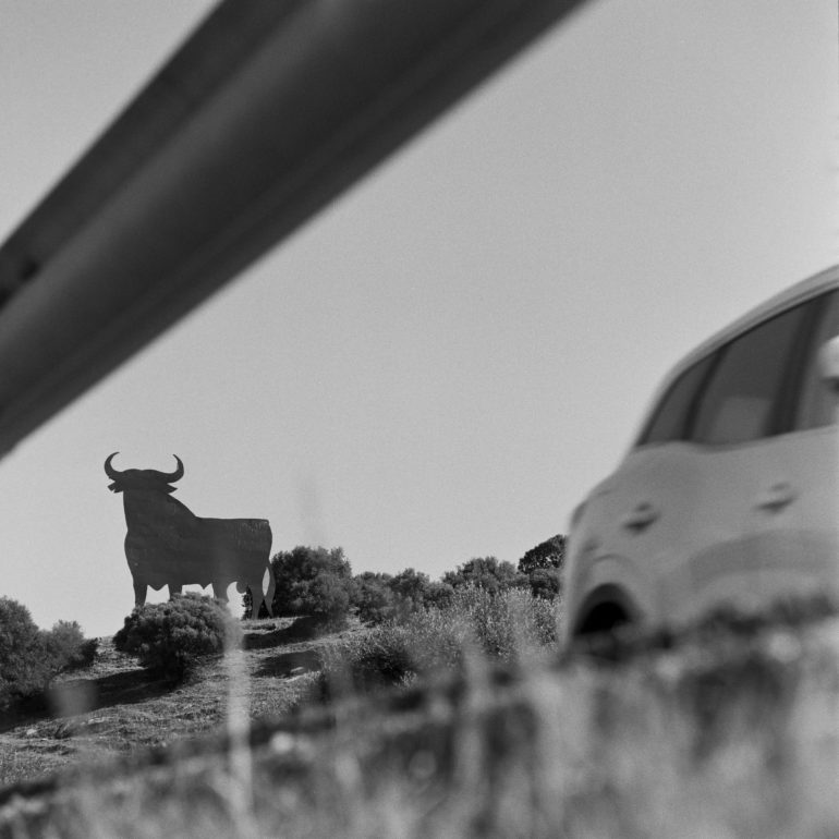 07-Toro_Osborne_(Andalucia)_TarifaBN