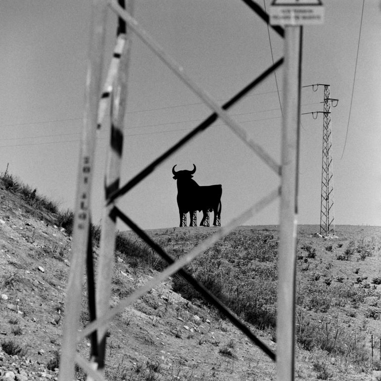 08-Toro_Osborne_(Andalucia)_AlcaladelosgazulesBN