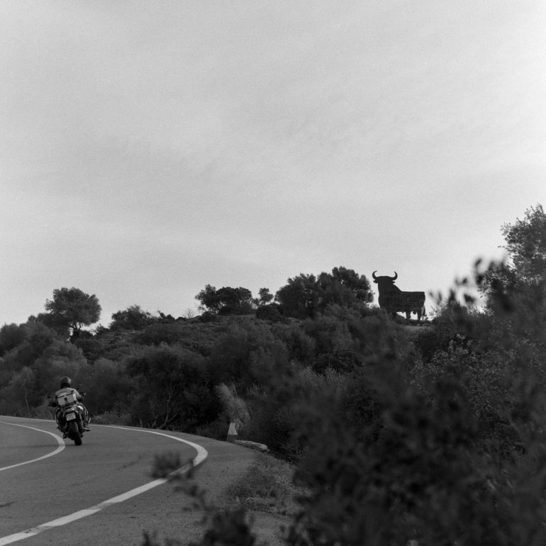 09_Toro_Osborne_(Andalucia)_2AlcaladelosgazulesBN