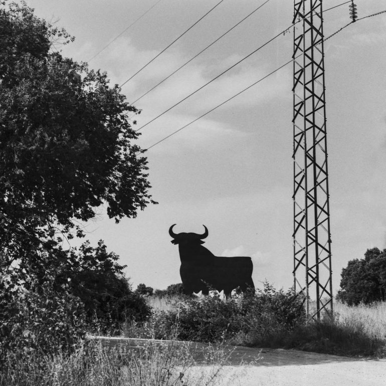053-Toro_Osborne_Cabanillasdelasierra_Madrid